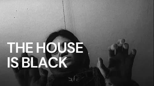 The House Is Black still