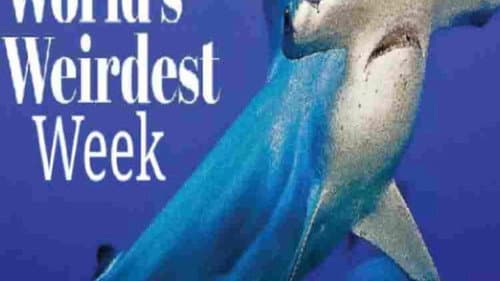 World's Weirdest Week still