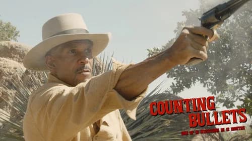 Counting Bullets still