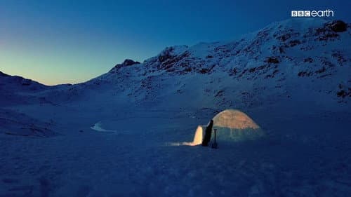 The Last Igloo still