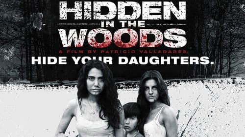 Hidden in the Woods still