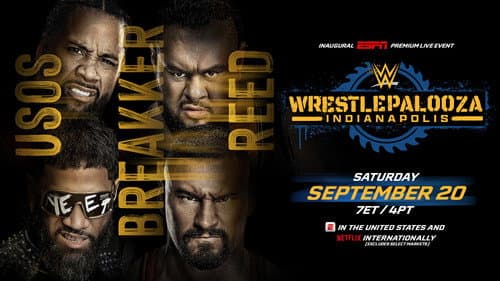 WWE Wrestlepalooza still