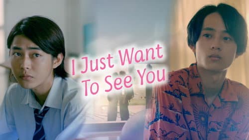 I Just Want To See You still