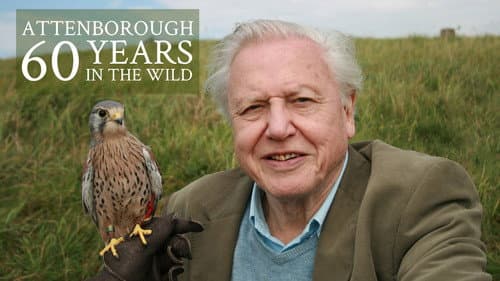 Attenborough: 60 Years in the Wild still