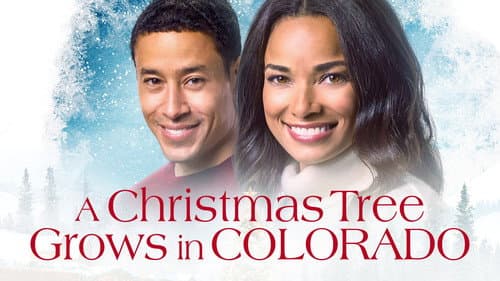 A Christmas Tree Grows in Colorado still