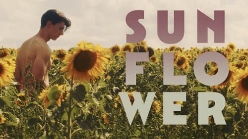 Sunflower still