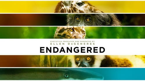 Endangered still