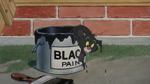 Bad Luck Blackie still