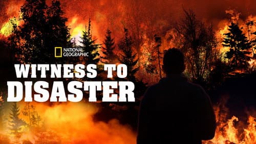 Witness to Disaster still