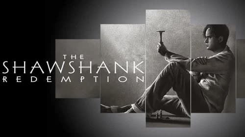 The Shawshank Redemption still