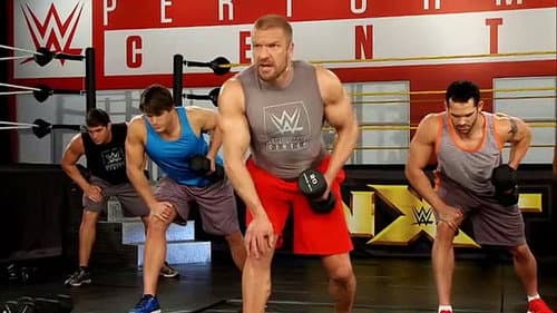 WWE Power Series: Triple H still