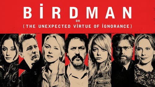 Birdman or (The Unexpected Virtue of Ignorance) still