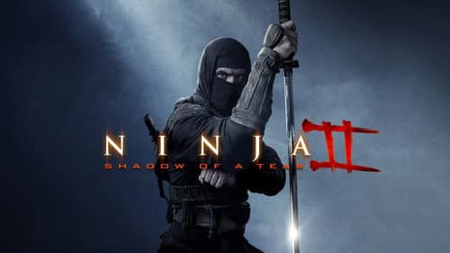 Ninja: Shadow of a Tear still