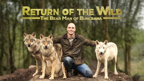 Return of the Wild: The Bearman of Buncrana still