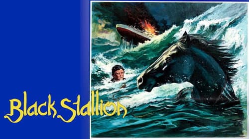 The Black Stallion still