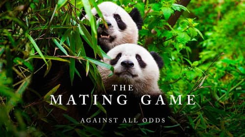 The Mating Game still