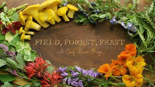 Field, Forest, Feast still