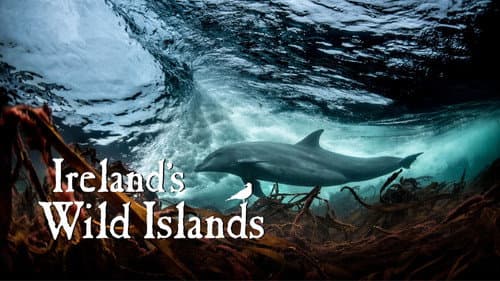 Ireland's Wild Islands still
