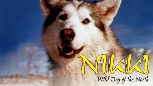 Nikki, Wild Dog of the North still
