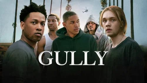 Gully still