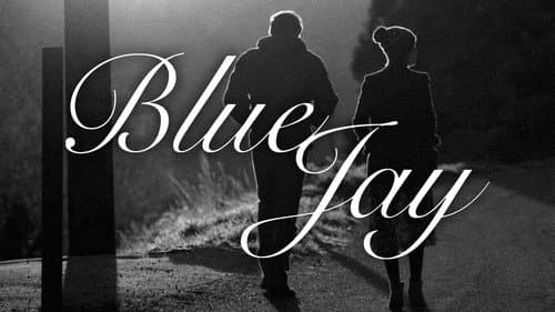 Blue Jay still