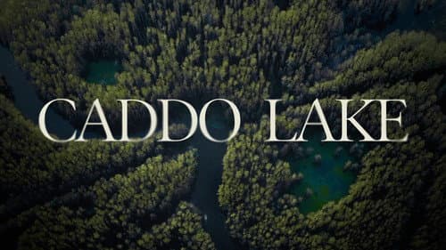 Caddo Lake still