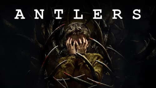 Antlers still