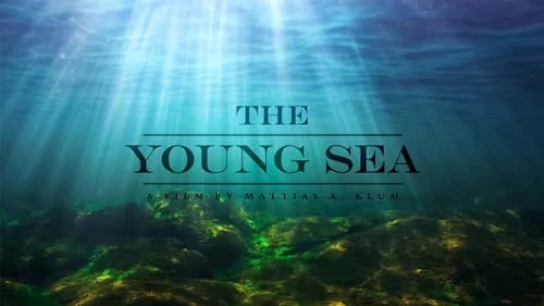 The Young Sea still