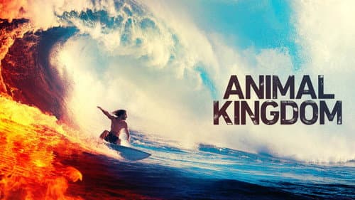 Animal Kingdom still