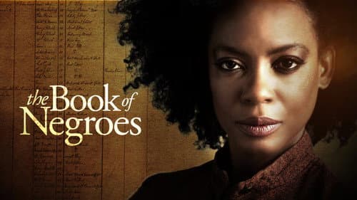 The Book of Negroes still