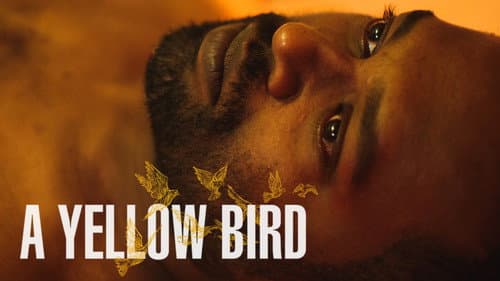 A Yellow Bird still