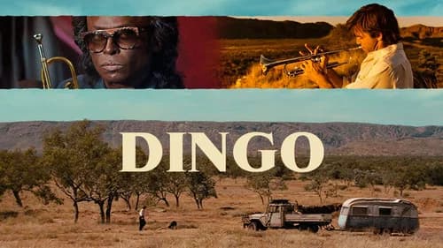 Dingo still