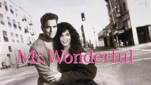 Mr. Wonderful still