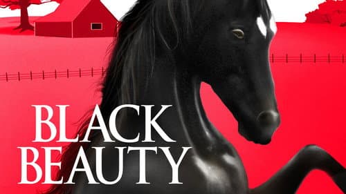 Black Beauty still