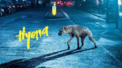 Hyena still