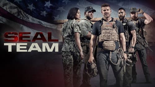 SEAL Team still