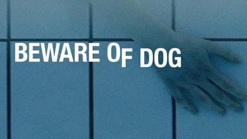 Beware of Dog still