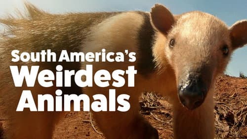 South America's Weirdest Animals still