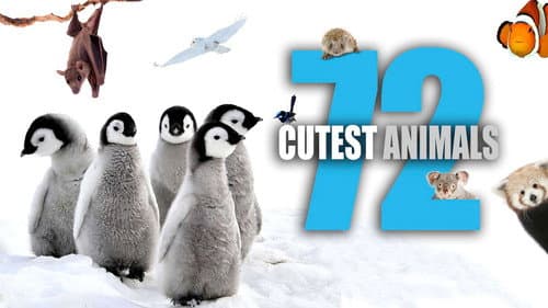 72 Cutest Animals still