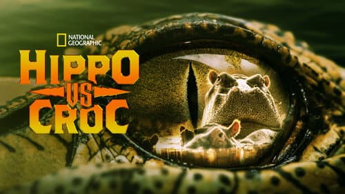 Hippo vs Croc still