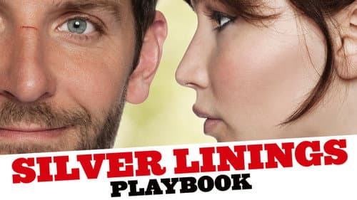 Silver Linings Playbook still