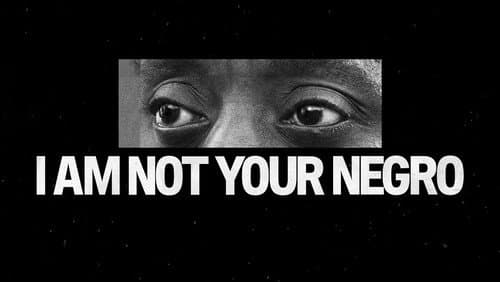 I Am Not Your Negro still