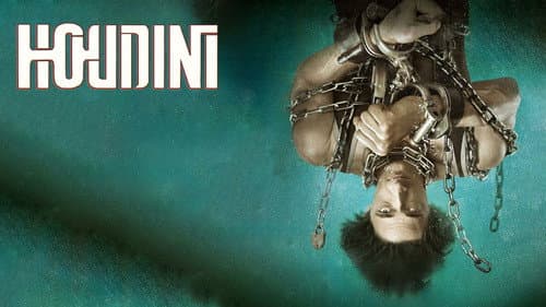 Houdini still