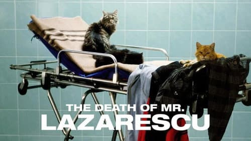 The Death of Mr. Lazarescu still