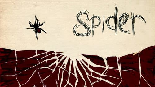 Spider still