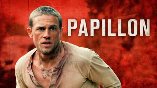 Papillon still