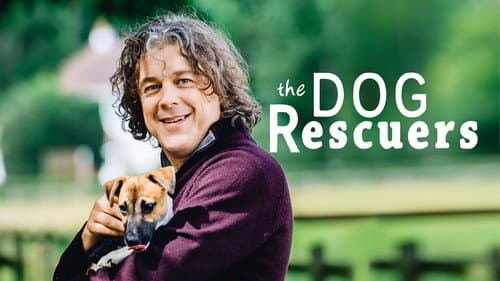 The Dog Rescuers with Alan Davies still