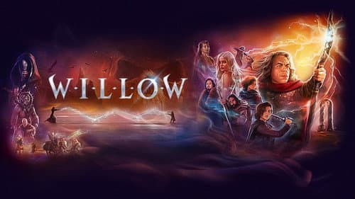 Willow still