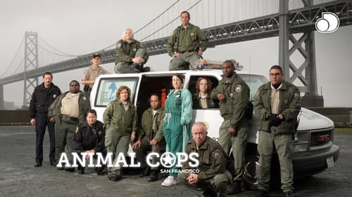 Animal Cops: San Francisco still