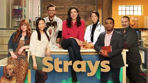 Strays still